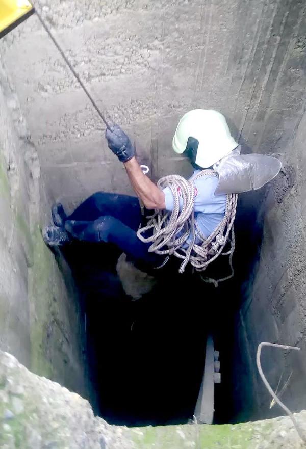 Su kuyusuna düşen koyunu itfaiye kurtardı