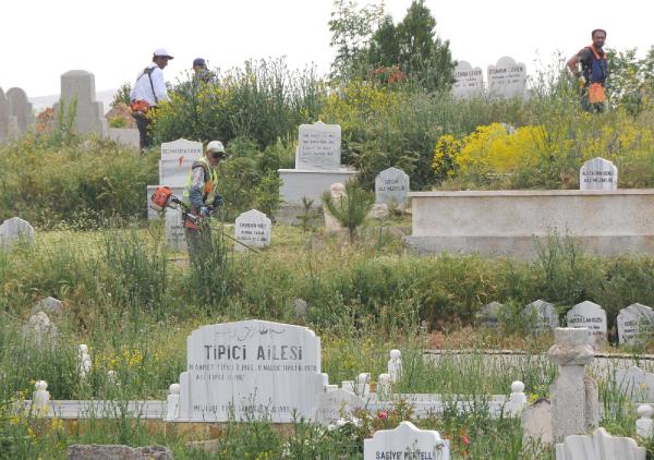 Sivas'ta mezarları kapatan otlar için temizlik başlatıldı