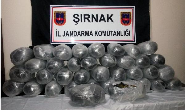 Şırnak'ta 190 kilogram esrar ele geçirildi