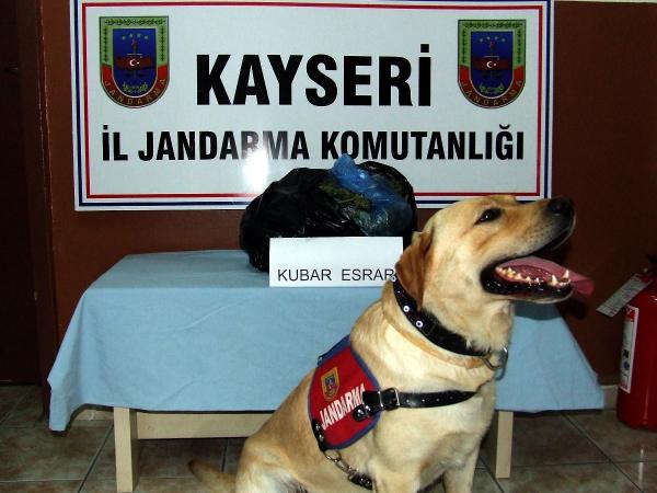 Çukurova Ekspresi'nde 2 kilo esrar ele geçirildi