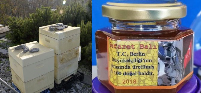 Büyükelçilikte bal üretiyorlar