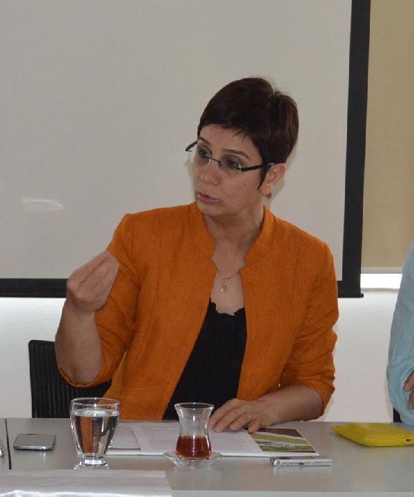 Mimarlar kentsel dönüşüm alanlarını yargıya taşıyor