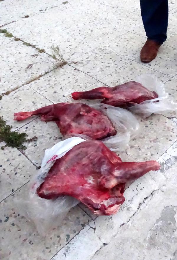 Kaçak avcıya 17 bin lira ceza