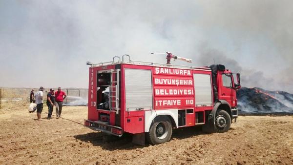 Şanlıurfa'da anız yangınında 50 ton saman kül oldu