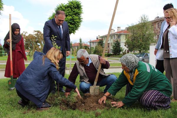 Çocuklar dalından yesin diye parklara meyve fidanı dikildi