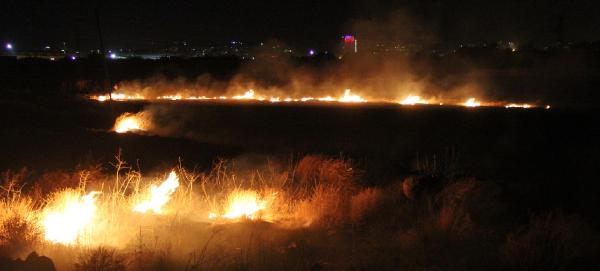 Şanlıurfa’da anız yangını