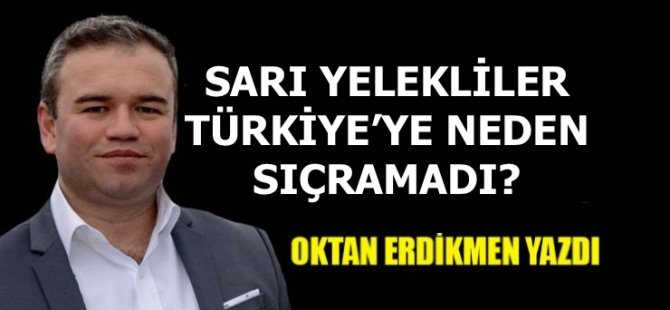 Sarı yelekliler, Türkiye'ye neden sıçramadı?