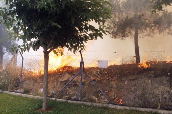 Şanlıurfa’da Ormanlık alanda yangın