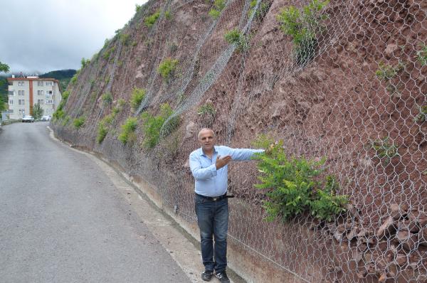 Artvin'de yaban keçisi çelik tel örgünün arkasında mahsur kaldı