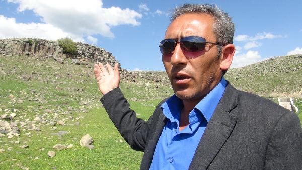 Kayalıklar arasında kayısı ağacı