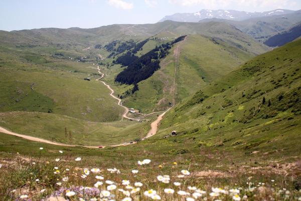 Ordu Büyükşehir Belediye Başkanı: 'Yeşil Yol' kent turizmine katkı sağlayacak