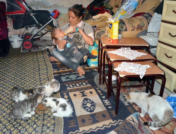 'Kedili ev'de herkesin yüzü gülüyor
