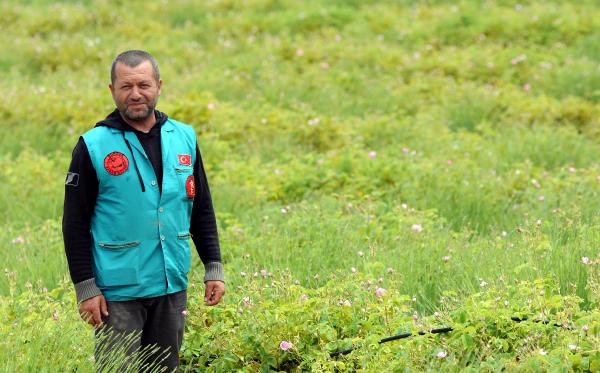 Doğa kıyımını lavantayla durdurdu