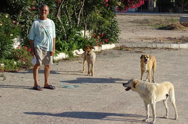 Turizm cennetinin sokak köpekleri sorunu