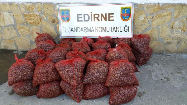 Yunanistan’a 39 ton kaçak midyeyi, jandarma  engellendi
