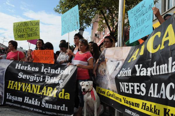 Tüfekle köpek öldürene 1002 lira para cezası