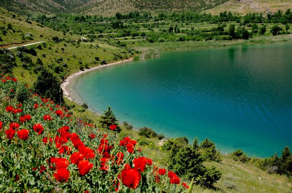 Van Gölü için seferber oldular
