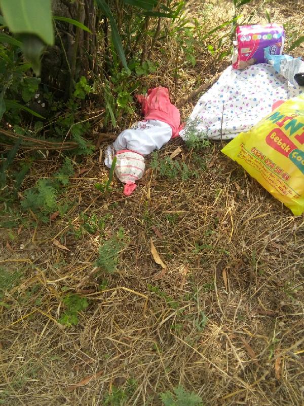 Adana'da tarlaya terk edilmiş bebek bulundu