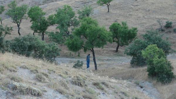 Kayıp taksici ağaçta asılı bulundu