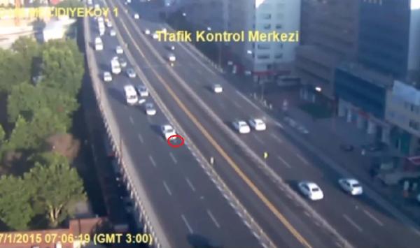 Zincirleme kazaya  martı neden olmuş