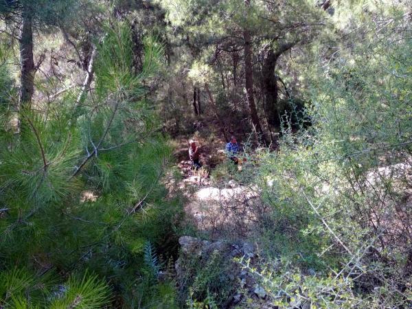 Köyceğiz'de kayıp 80 yaşındaki kadın aranıyor