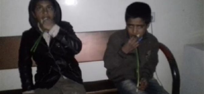 Zabıta çocuklara sattıkları çiçekleri yedirtti