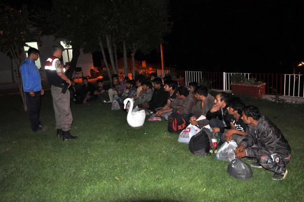 Illegal migrants caught in Gallipoli on the way to Greece