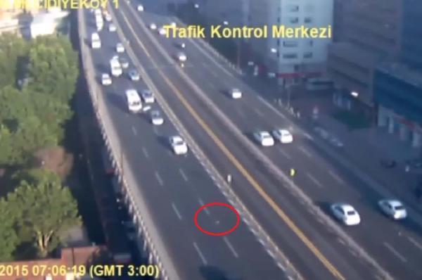 Seagull causes pileup in central Istanbul