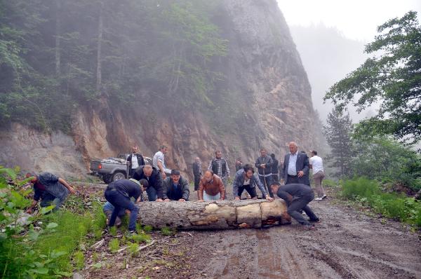 Artvin Cerattepe’de mücadele sürüyor