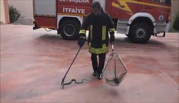 İtfaiyeden canlı yılan yakalama dersi