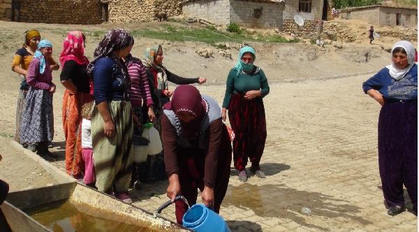Köydeki 3 çeşme kuruyunca su sıkıntısı başladı