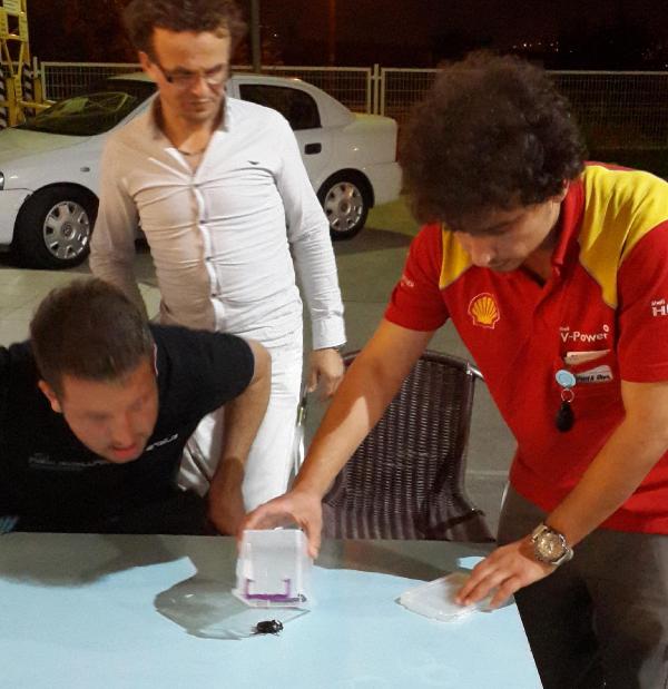 Bir gergeden böceği  de Gölcük'te bulundu