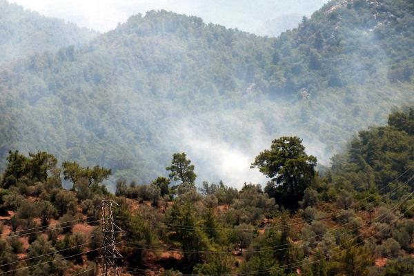 Marmaris'te otluk yangını ormana sıçramadan söndürüldü