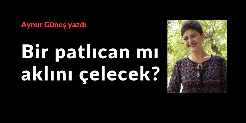 Bir patlıcan mı senin aklını çelecek?