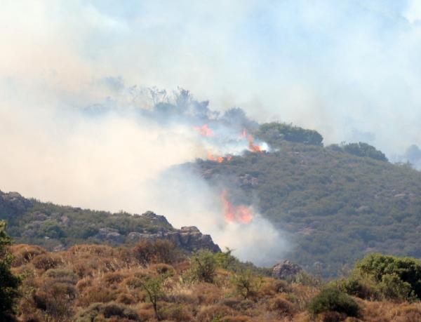 Bodrum'da otluk ve makilik alanda yangın