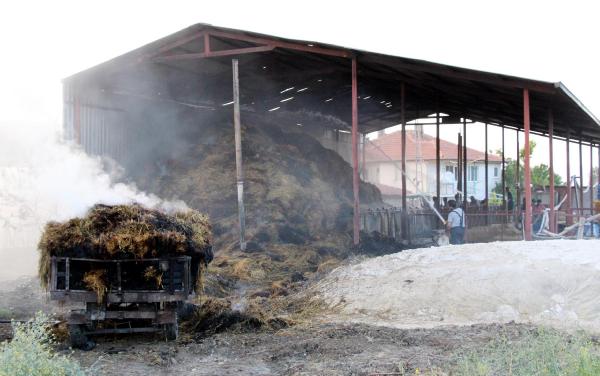 Yangının ortasında kalan kediyi itfaiye kurtardı