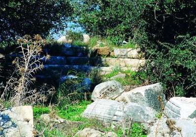 Bargilya Antik Kenti satılıyor