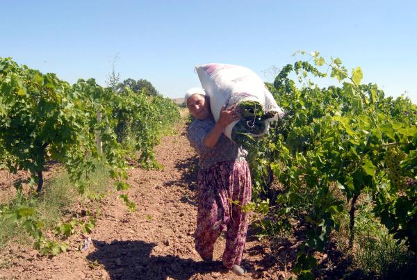 Manisa'da yitip giden canlara rağmen değişen bir şey yok