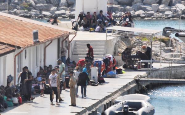 Kuşadası'nda 174 kaçak yakalandı