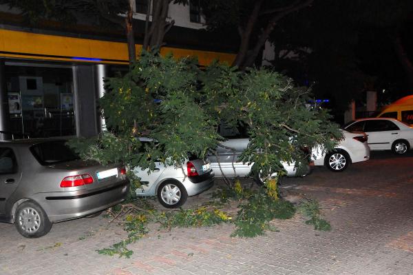 Çanakkale'de kırılan ağaç dalı 3 aracın üstüne devrildi