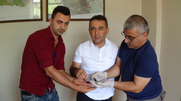 Gergedan böceği yakalayana para cezası
