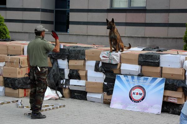 Sahte mühürlü TIR'dan kaçak sigara çıktı