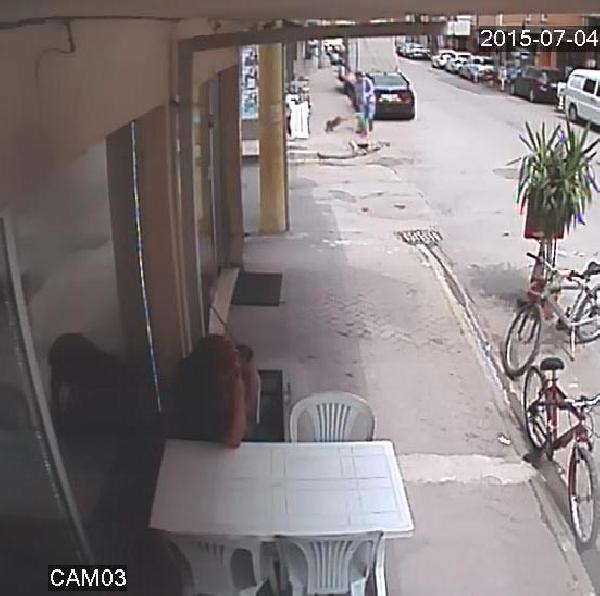 Kedi köpeğe saldırdı, köpeğin sahibi korku dolu anlar yaşattı