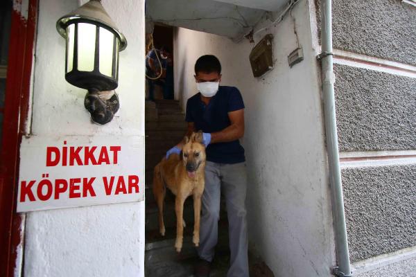 Mahalle sakinlerini isyan ettiren binaya mahkeme kararıyla tahliye