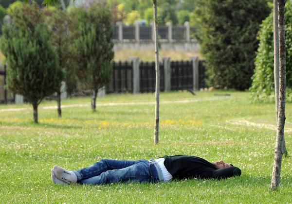 Sıcaktan bunalanlar ağaç gölgesine kaçıyor