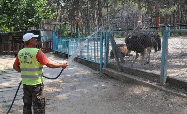 Sıcaktan bunalan hayvanlar hortumla serinletildi