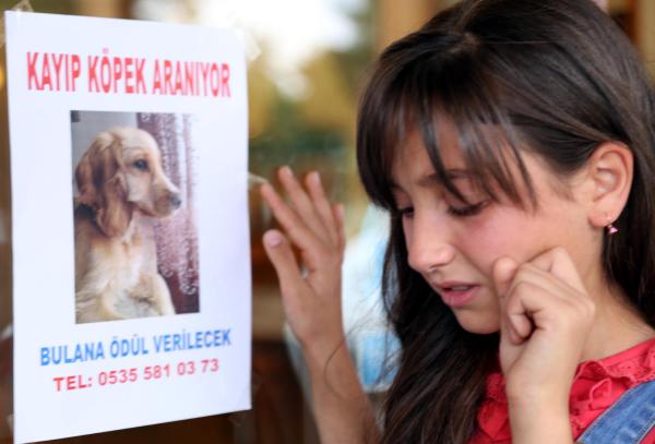 Küçük Lana kayıp köpeği 'Roni' için ağlıyor