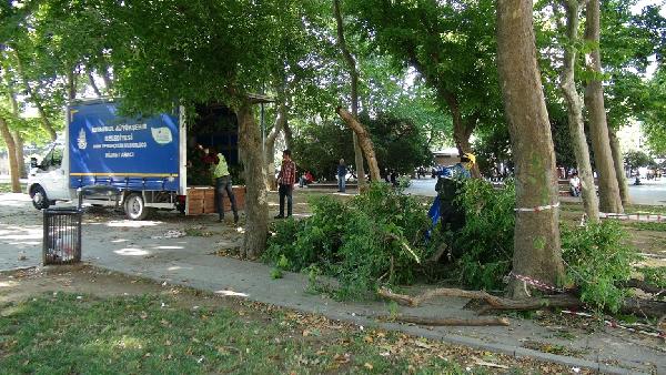 Gezi Parkı'nda devrilen ağaç kesildi