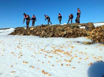 Yozgat'ta jandarmadan yaban hayatı için doğaya yem
