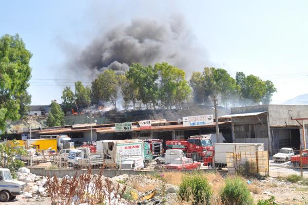 İzmir'de sanayi sitesinde yangın (2)